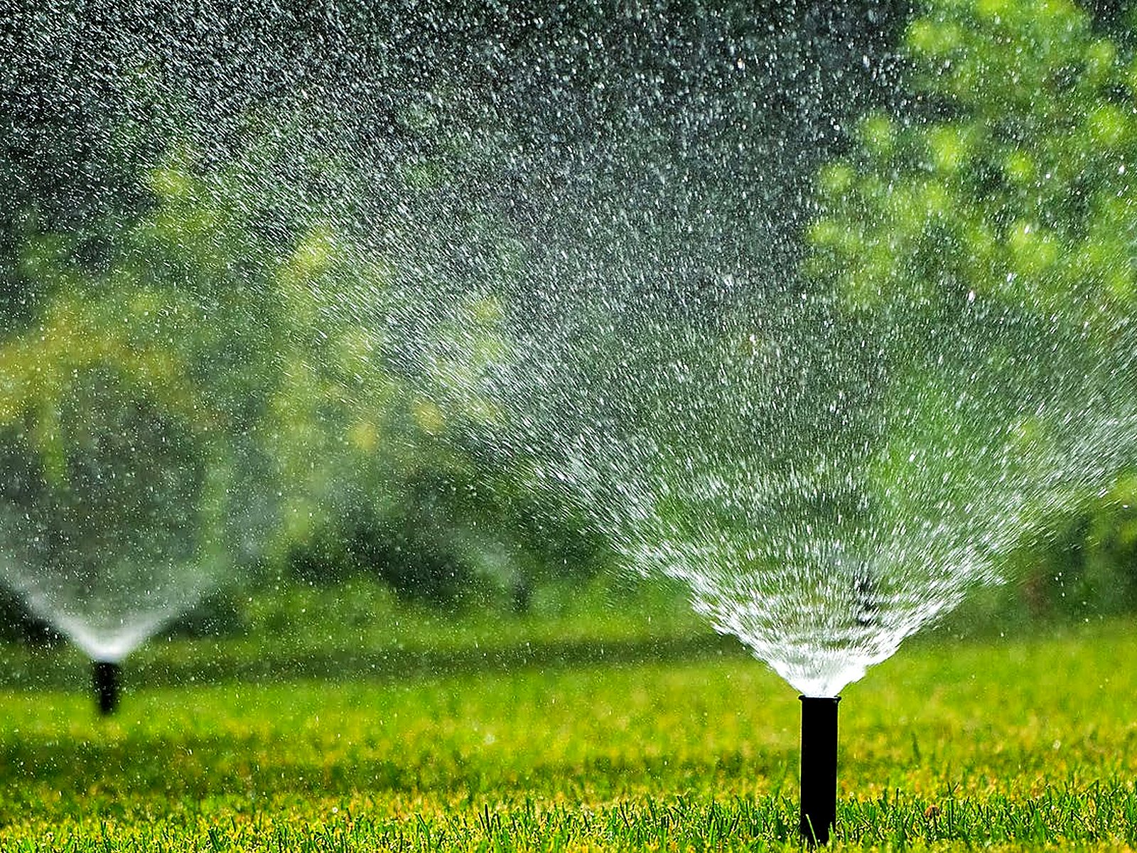 Brass sprinkler head spraying fine mist over green grass